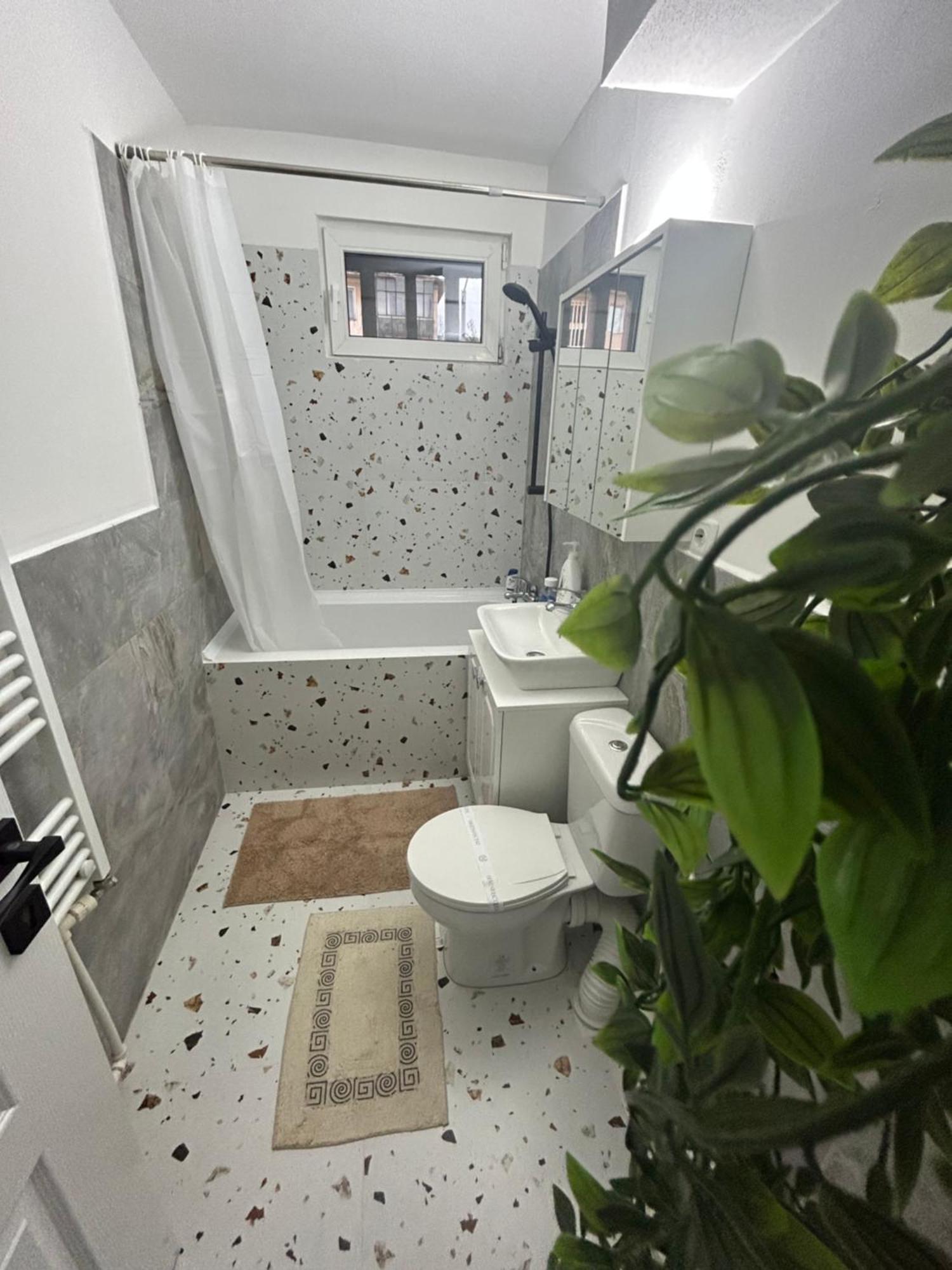 Mag Apartament Ps Iasi Luaran gambar